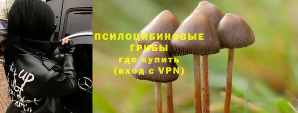 бошки Кулебаки