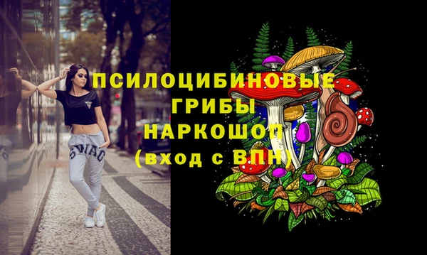 МДПВ Кукмор