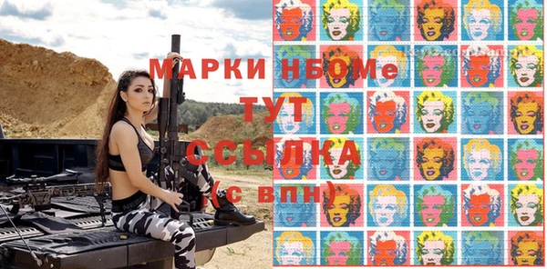 МДПВ Кукмор