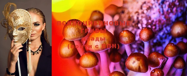 МДПВ Кукмор