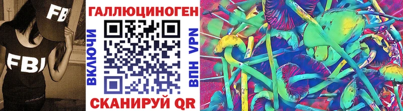 Галлюциногенные грибы Psilocybe  Руза 